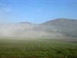 tálie - Marche - ranní krajina nedaleko Urbina